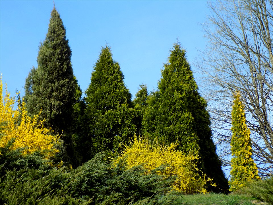 Hryshko National Botanical Garden