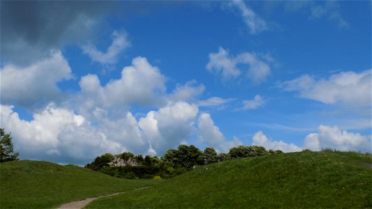 Hryshko National Botanical Garden