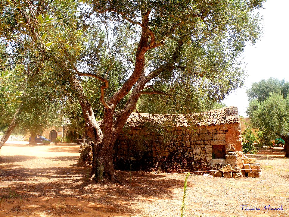 Casetta in campagna