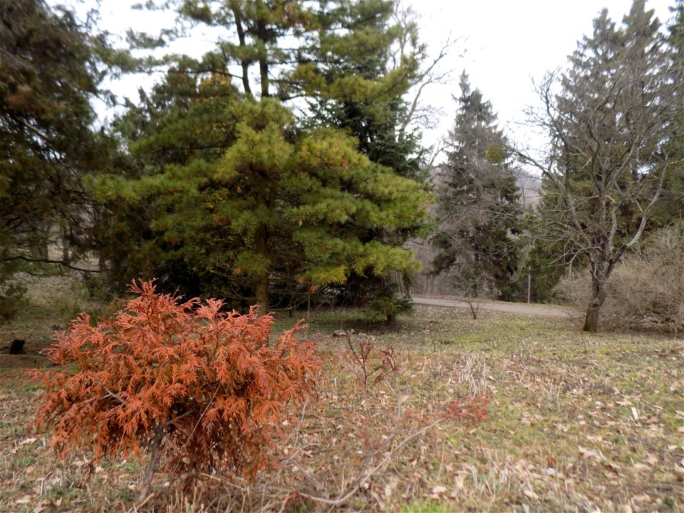 Hryshko National Botanical Garden