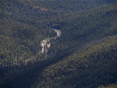 Evans Lookout II