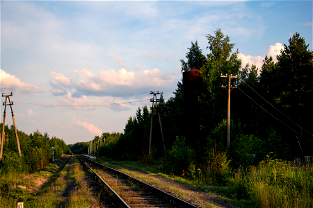 ЖД дорога / Railroad photo
