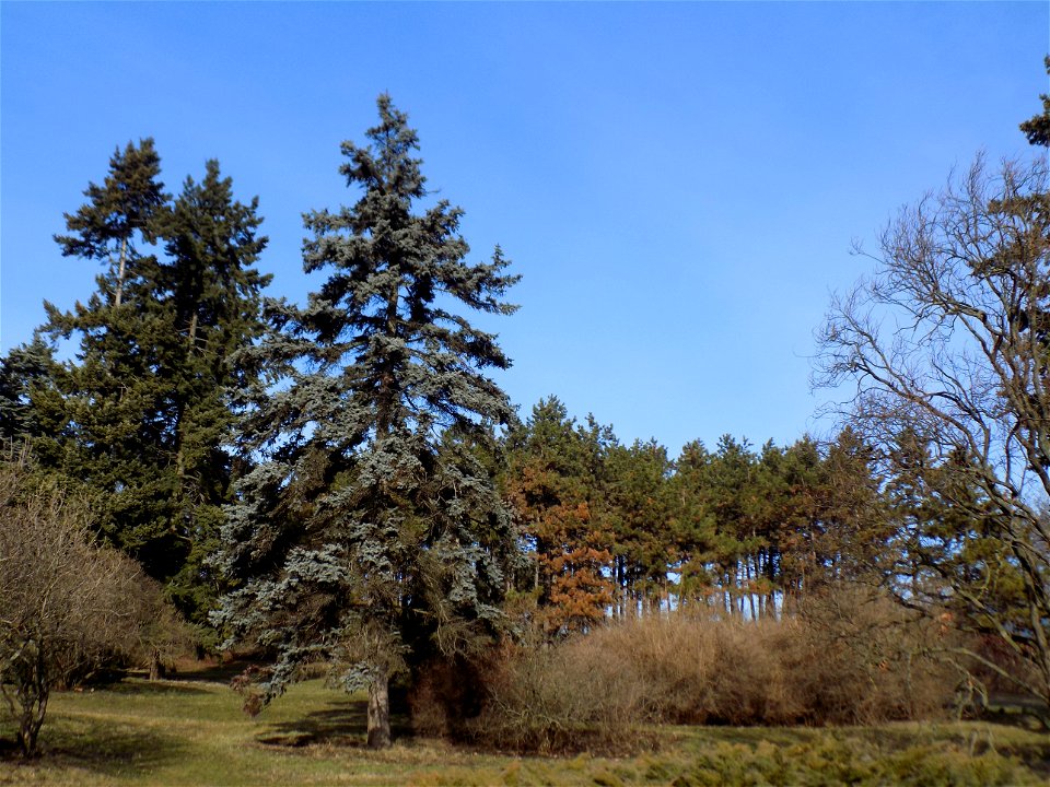 Hryshko National Botanical Garden