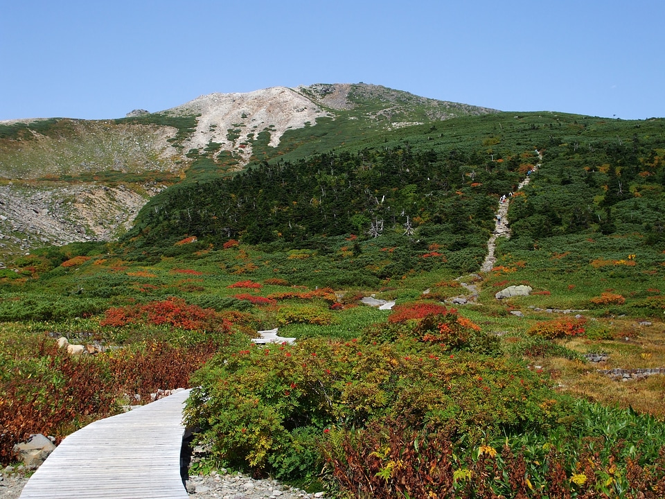 Mount Haku Autumn