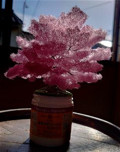桜の模型№,18