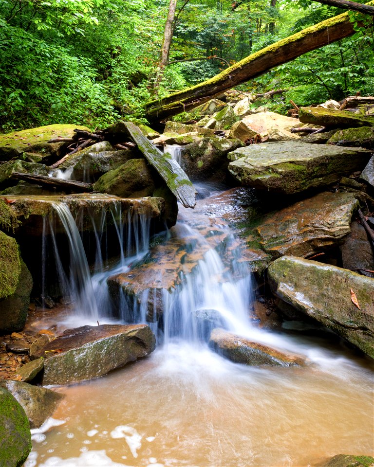 Fly Gorge Special Area