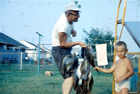 Family Slides (312)