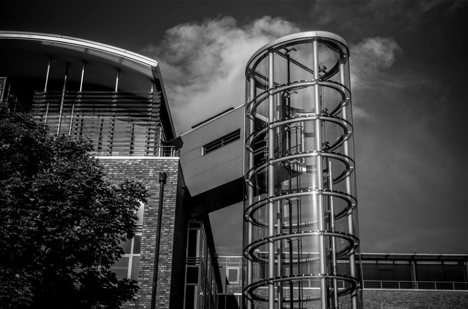LMTM5456 BW mit Orange-Farbfilter