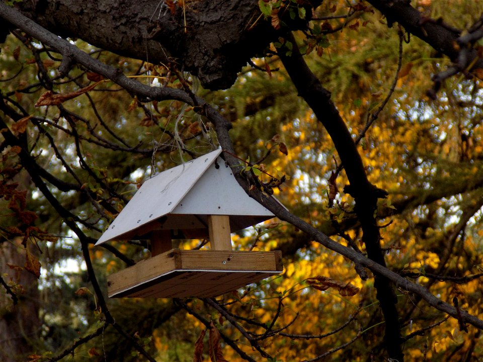 Hryshko National Botanical Garden