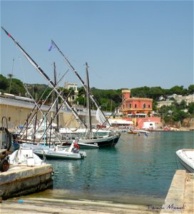 Barchette