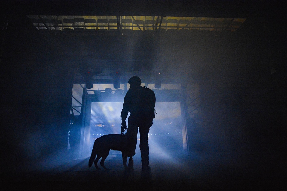 Silhouette of a dog and a soldier