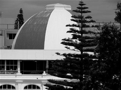 Coogee Seaside I