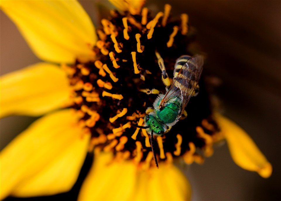 20210617-IMG_3740