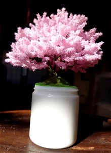 桜の模型№,17 photo