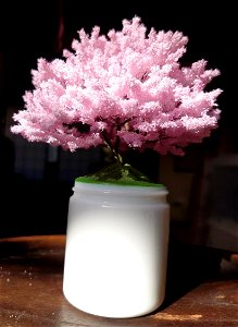 桜の模型№,17