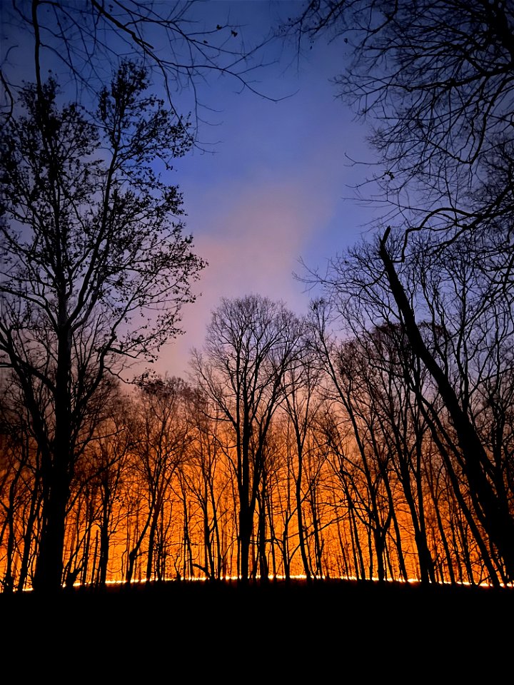 Kimble Complex Fire