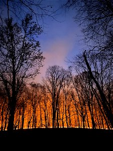 Kimble Complex Fire