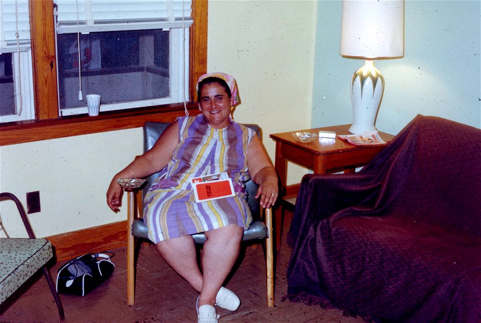 Family Slides (381)