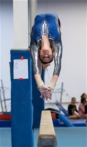 DSC_2951_1