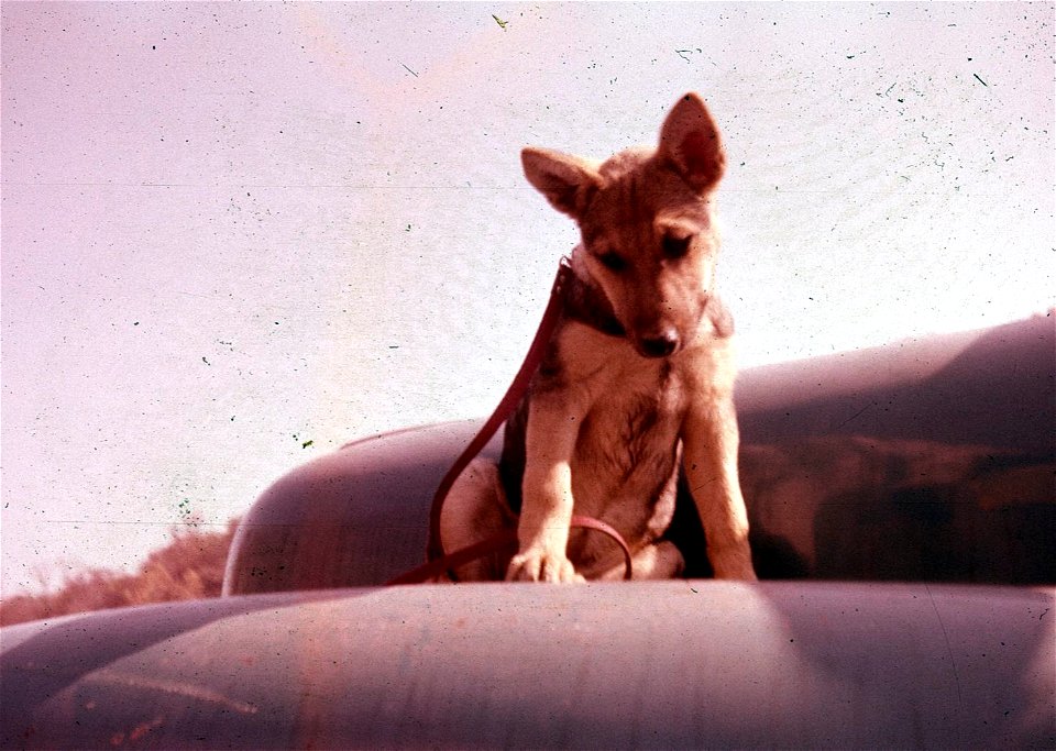 Family Slides (107)