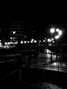 Coogee Promenade I