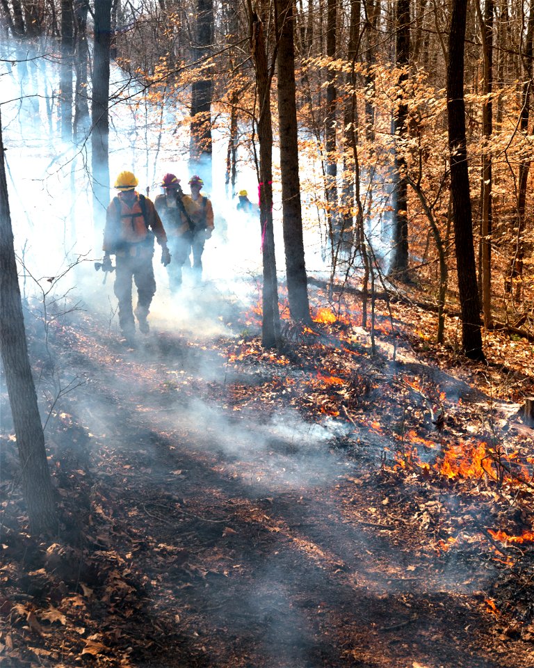 Firefighters Walking a Fireline photo