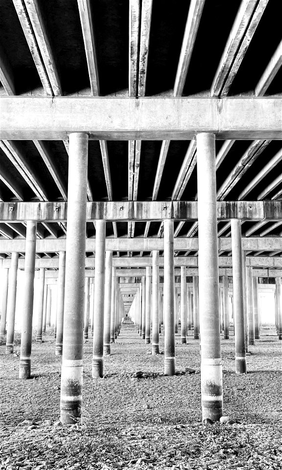 Under the Yolo Causeway
