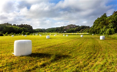 Field and silage bales in Övre Tuntorp 3 photo