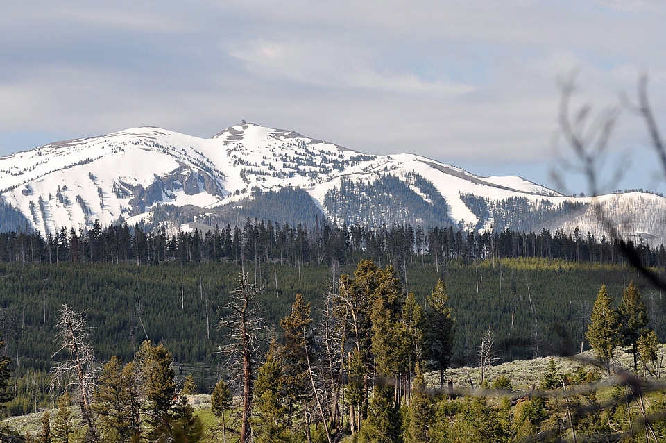 Yellowstone National Park
