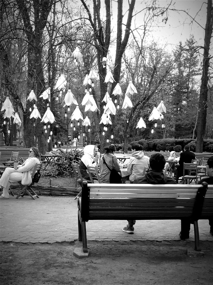 Evening in the Park