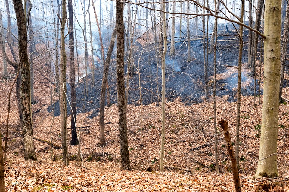 Mosaic Burn Pattern