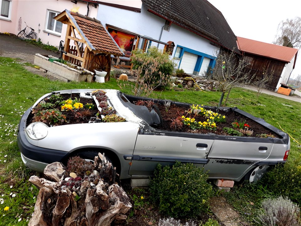 Citroen Saxo flower pot