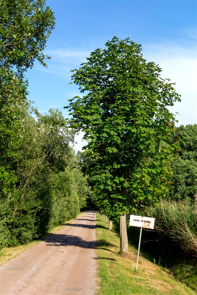 Beware of the dog sign in Holma photo