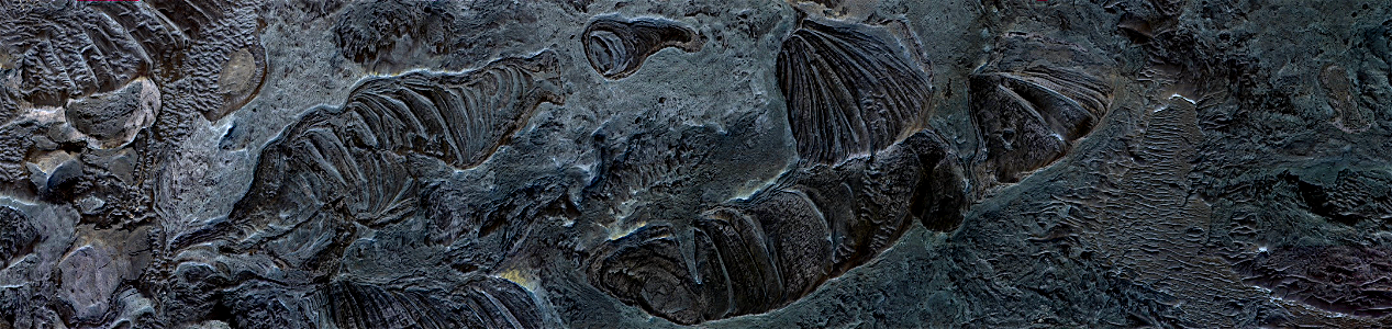 Mars - Blocky Deposit on Floor of Melas Chasma photo
