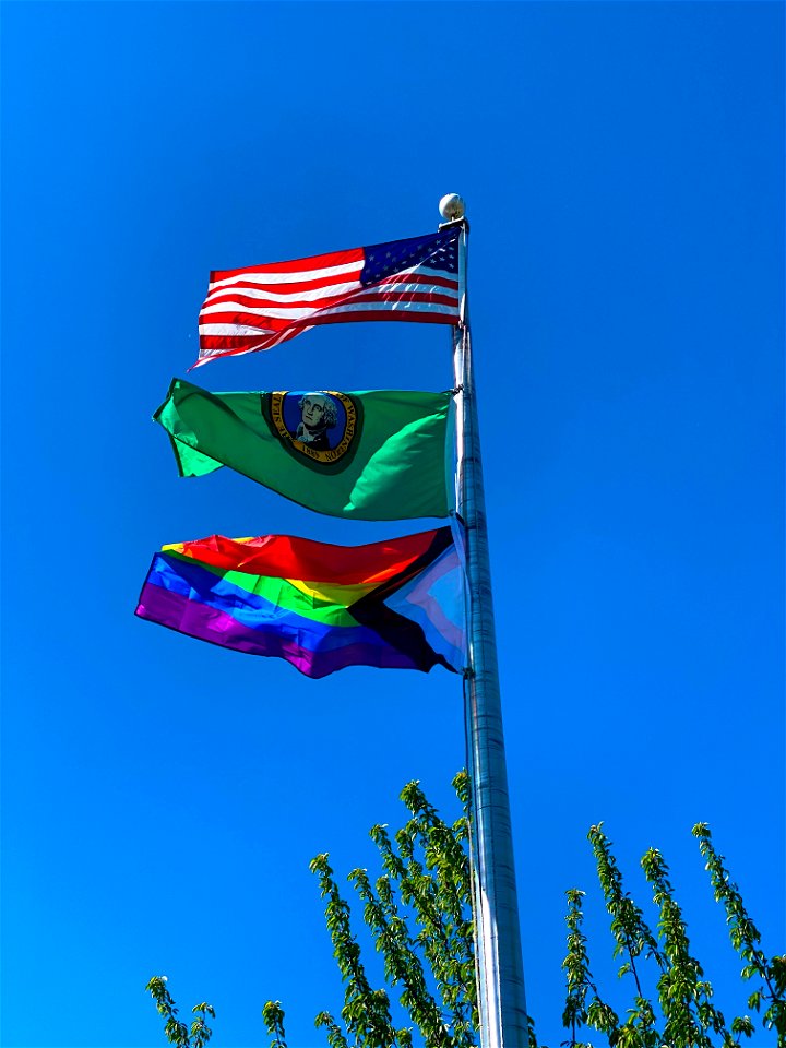 Pride Progress