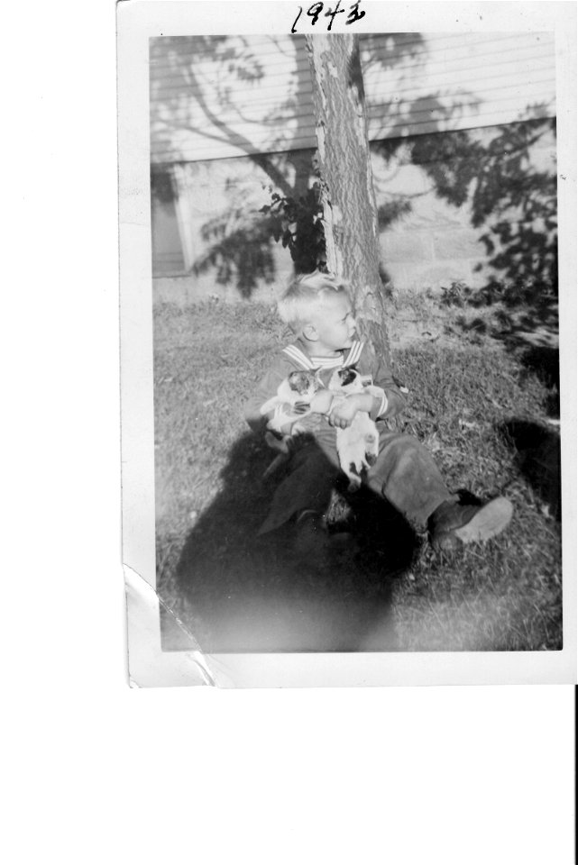 Jerry kittens 1943