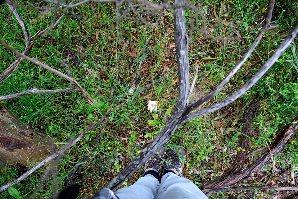 2022 Site 3 Ground photo 2