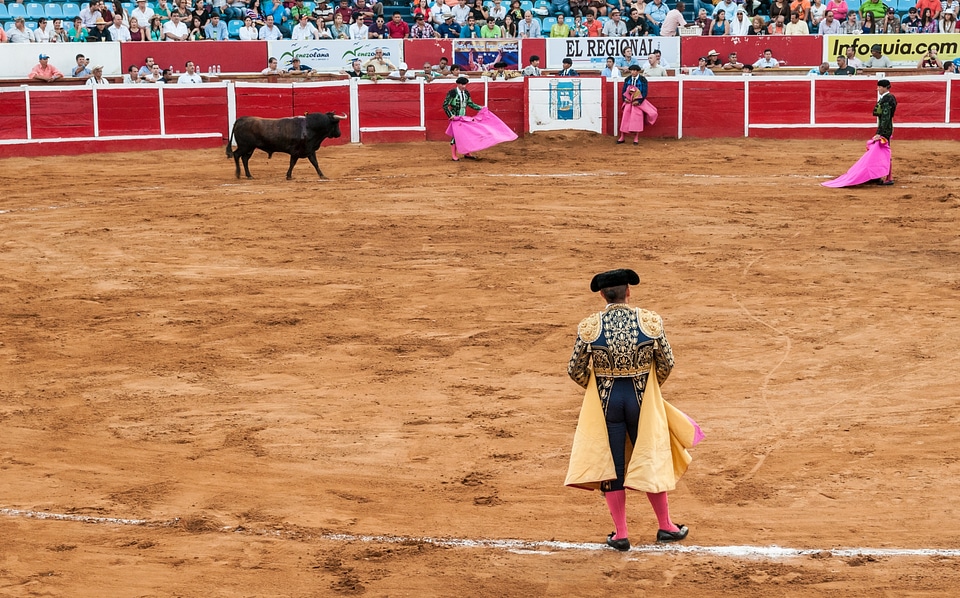 Traditional corrida - bullfighting in spain