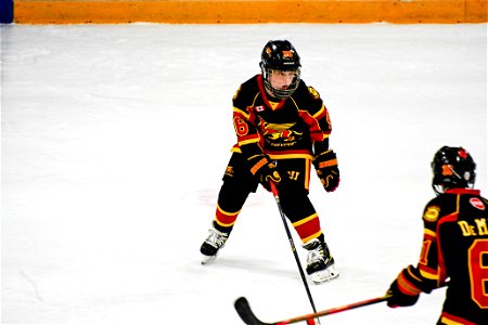 DSC_3456.jpg