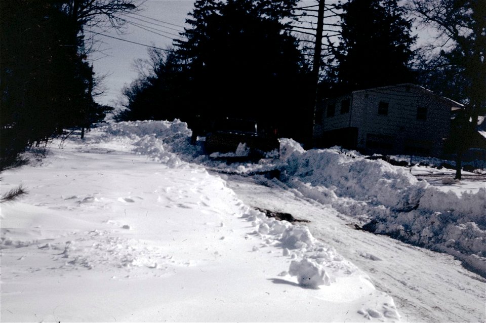 Family Slides (278)
