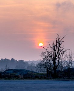 Sun lantern in misty willows photo