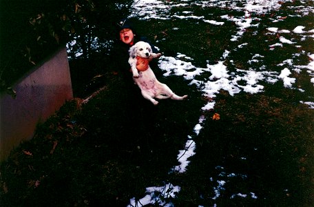 Family Slides (239)