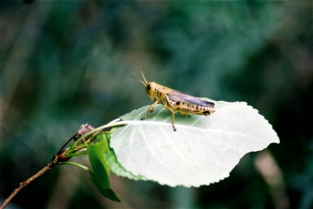 Kilanski000694-R1-019-8