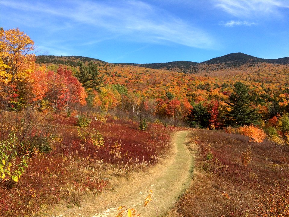 Near Hogback Mountain