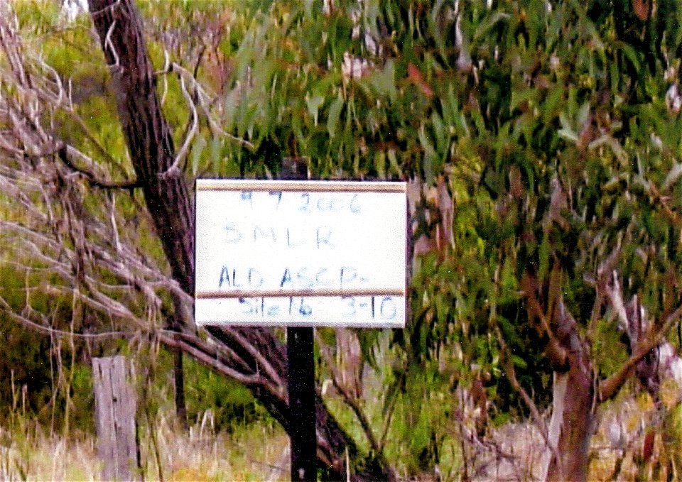 Photopoint sign 2006