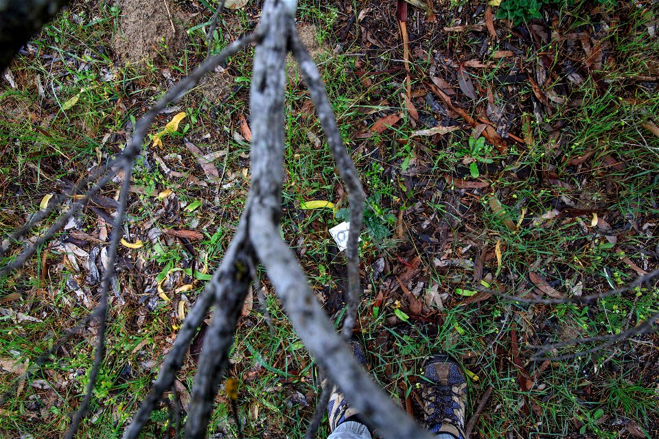 2022 Site 3 Ground photo 6