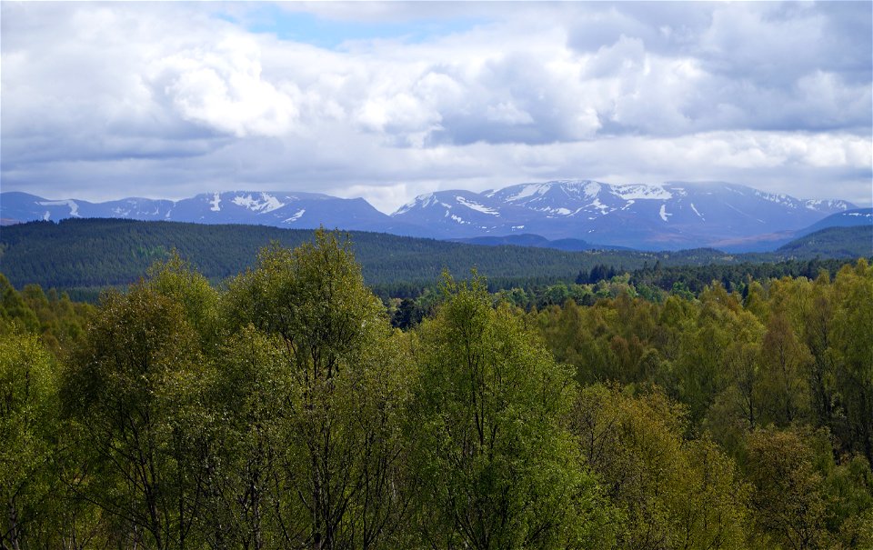 Cairngorms from Carr Bridge