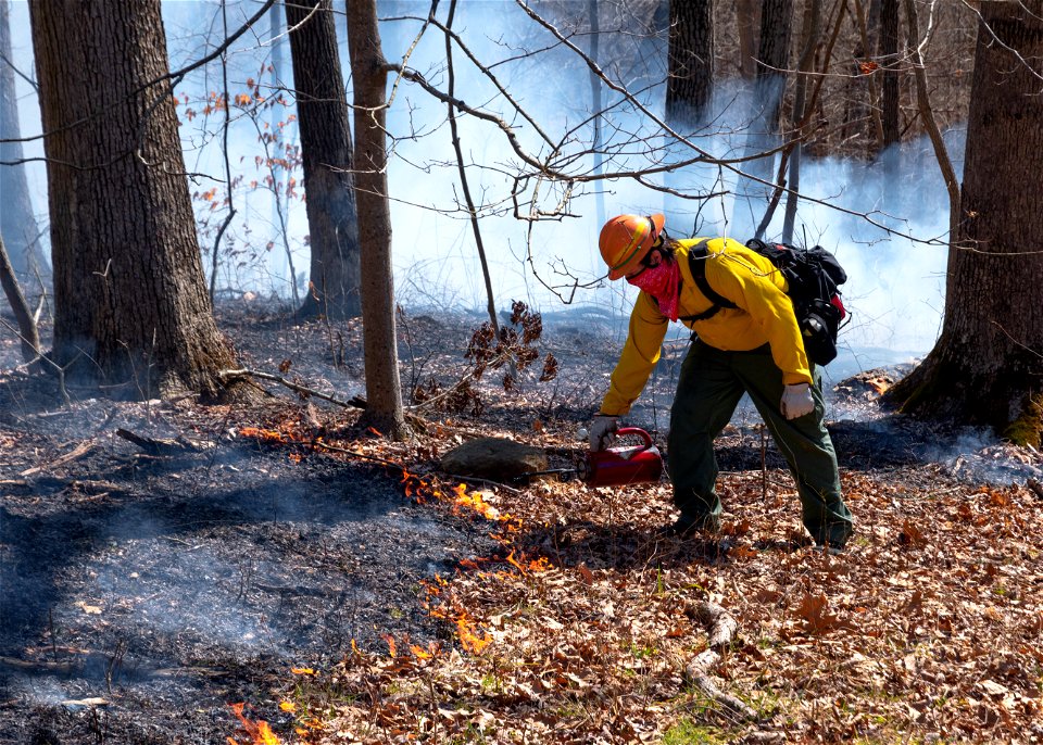 Firefighter Conducting a Prescribed Burn