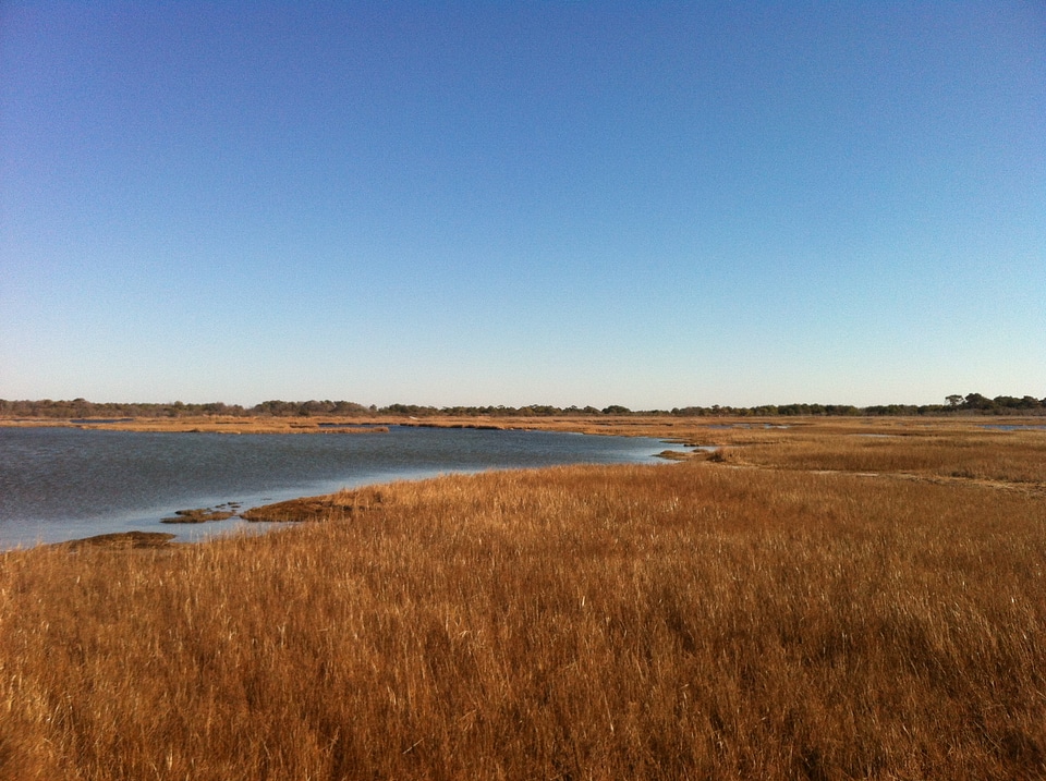 Trail heading to the Pacific Ocean City Beach