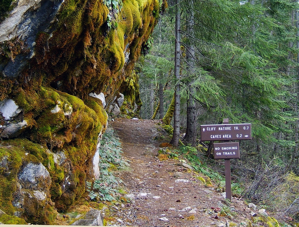 Cliff Nature Trail Oregon Caves National Monument